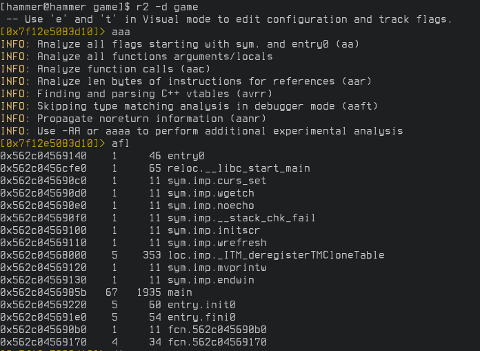 running above steps on the game binary